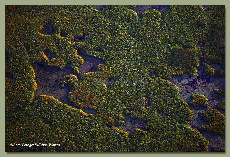 Phantom Lake Marsh Area